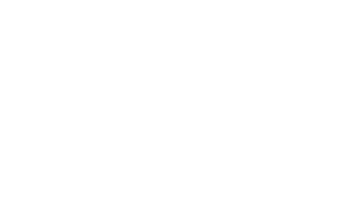 Baranlı Group Logo