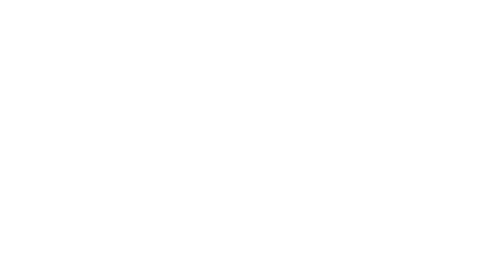 Carmondo Logo